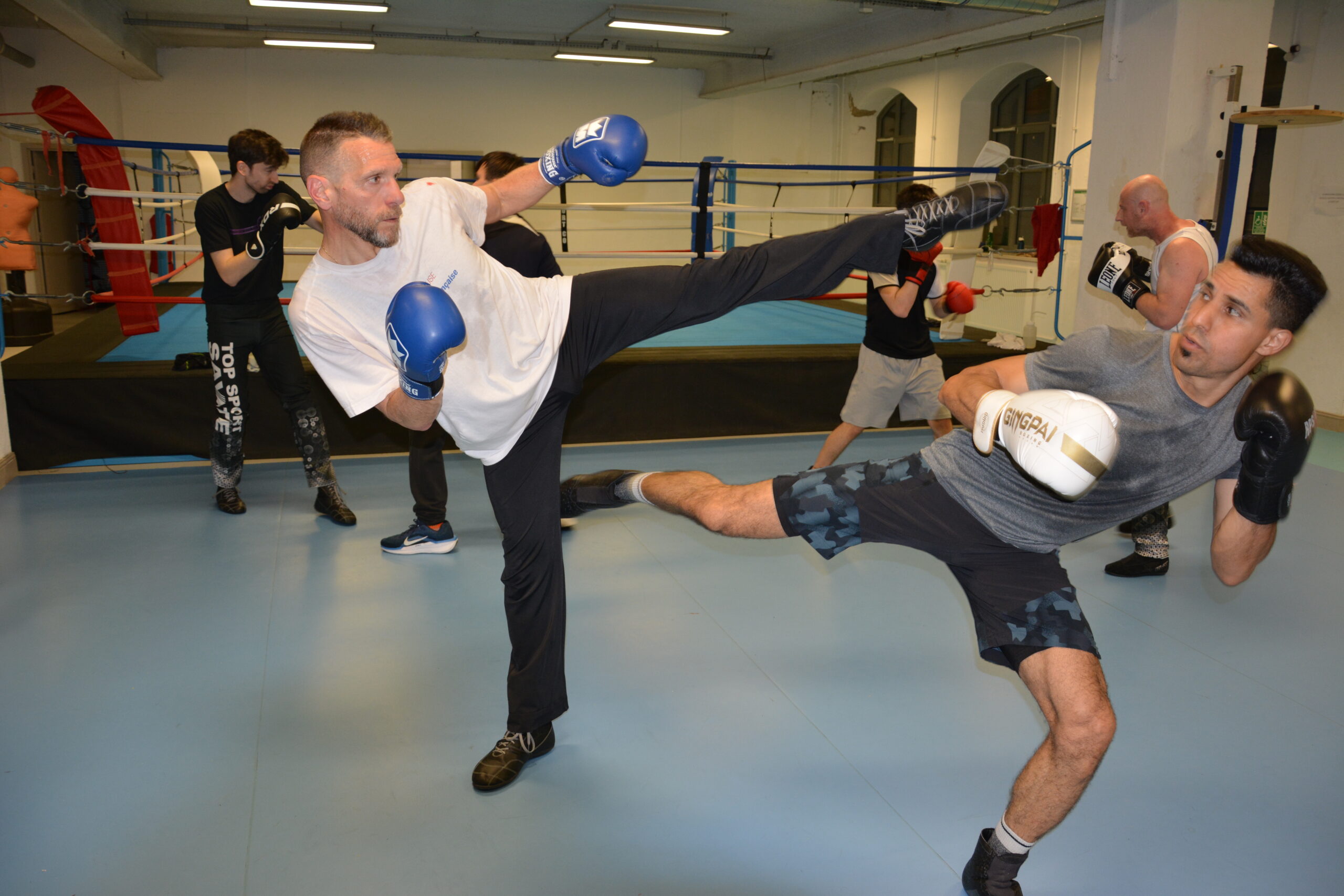 Savate Boxe Française Technique