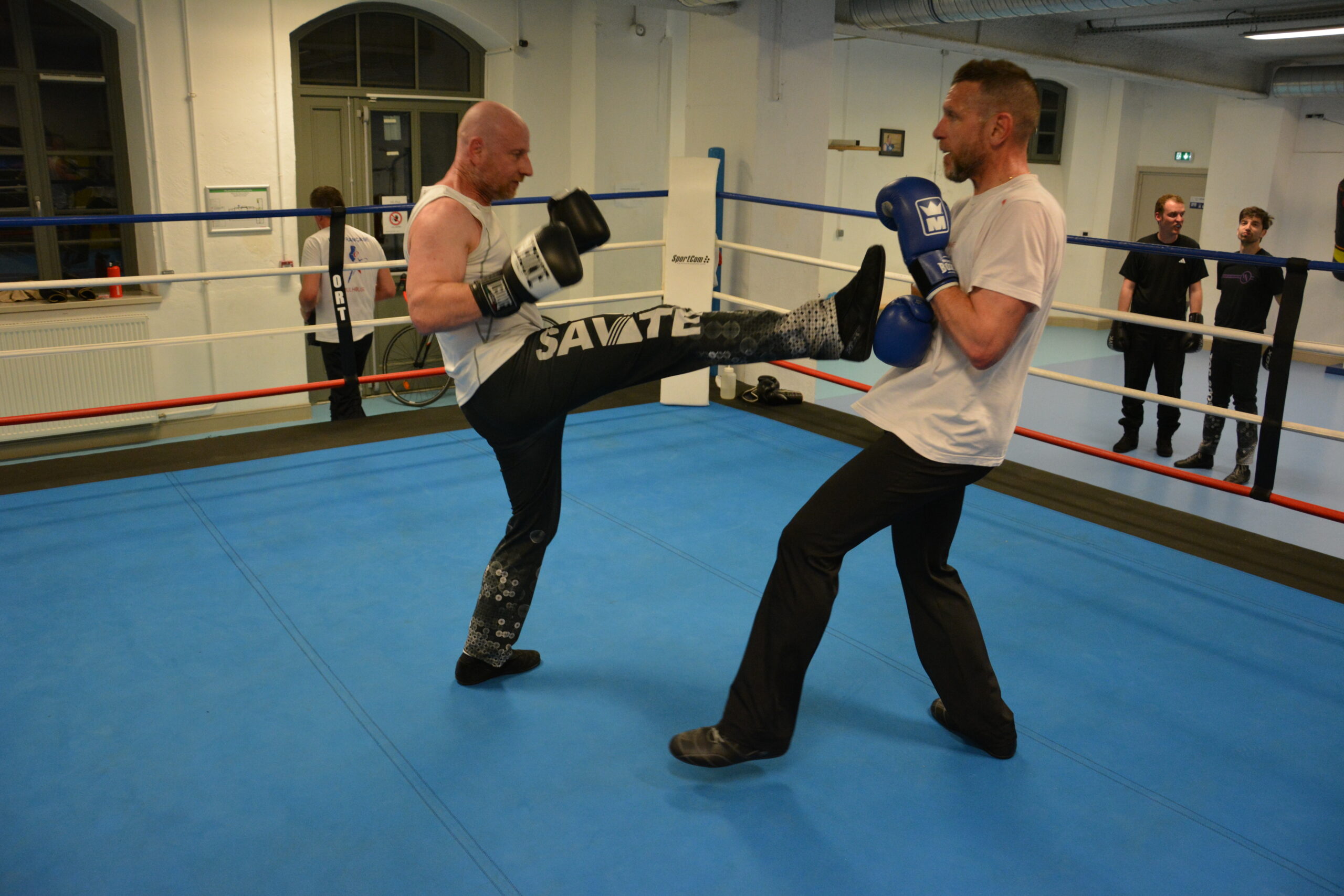 Savate Boxe Française Technique